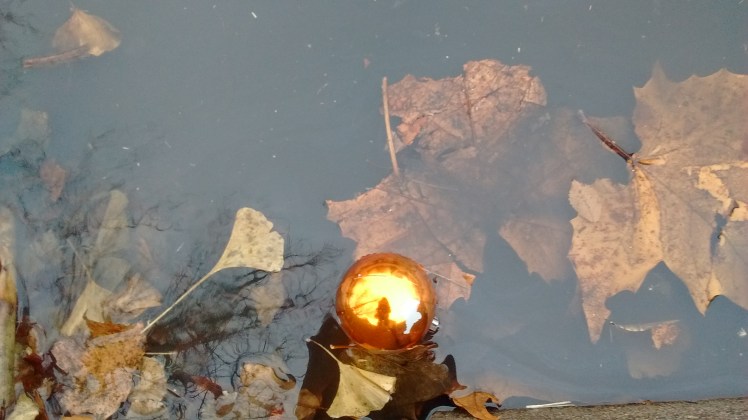 IMG_20151223_104714312