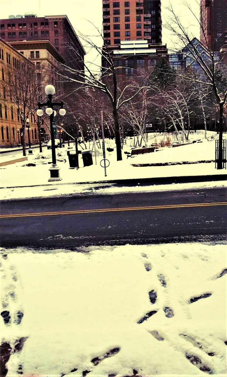 IMG_20151226_091220 (2)